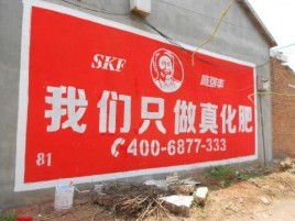  桐庐刷墙广告”蕴含了时代命题