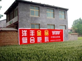  桐庐如何让墙体广告展现最大化效果