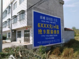  桐庐墙体广告质量分析