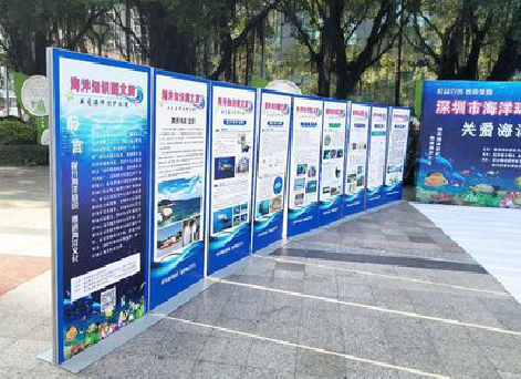  桐庐KT板的种类和知识。